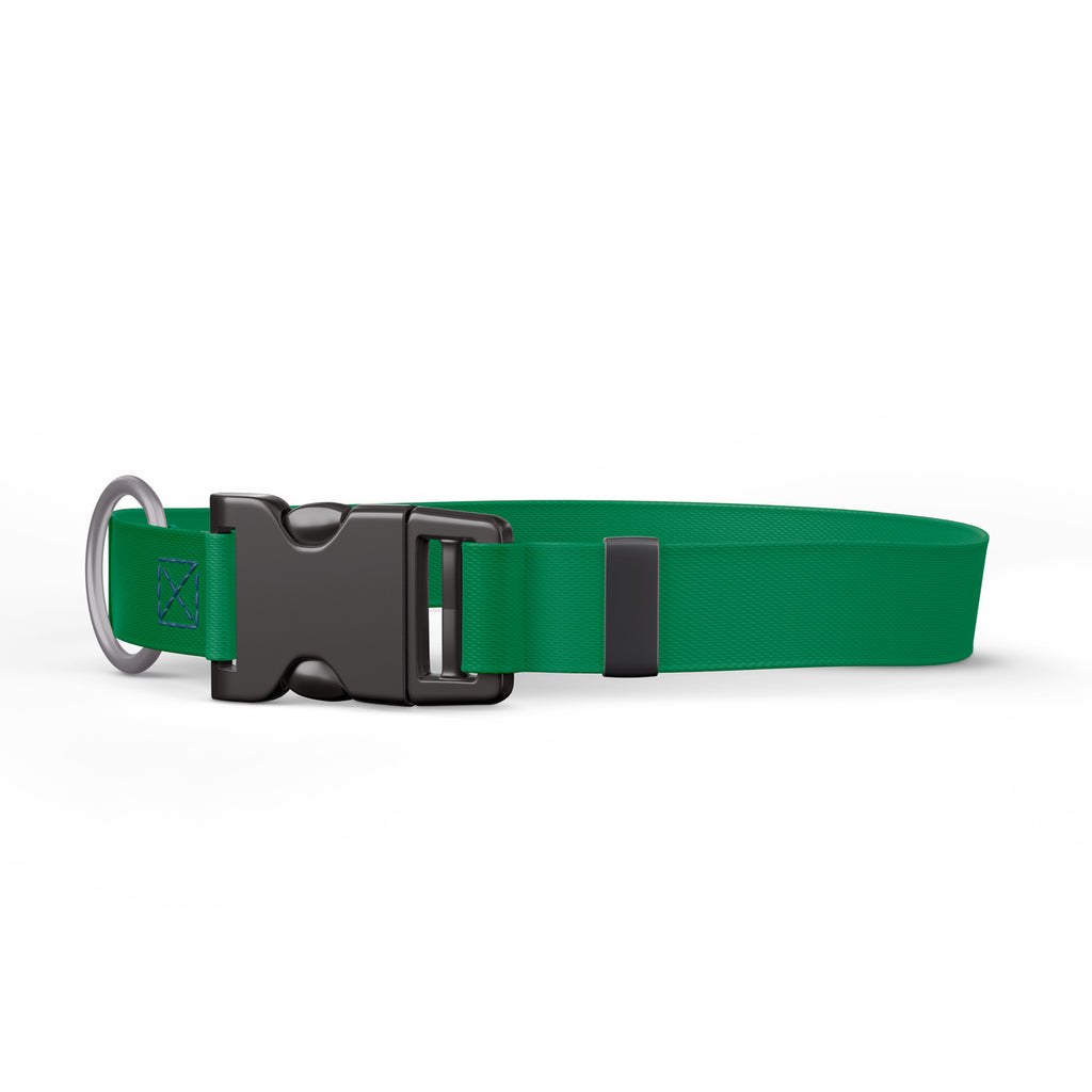 Sequoyah Pet Collar